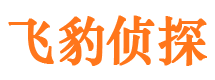 淄博外遇出轨调查取证